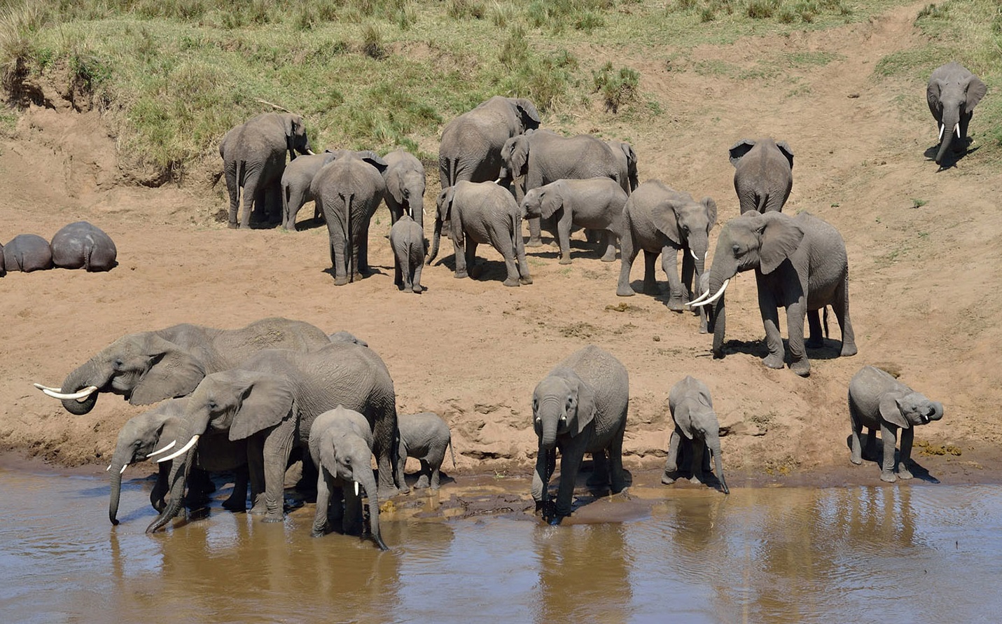 Trek Mt Kenya Tours