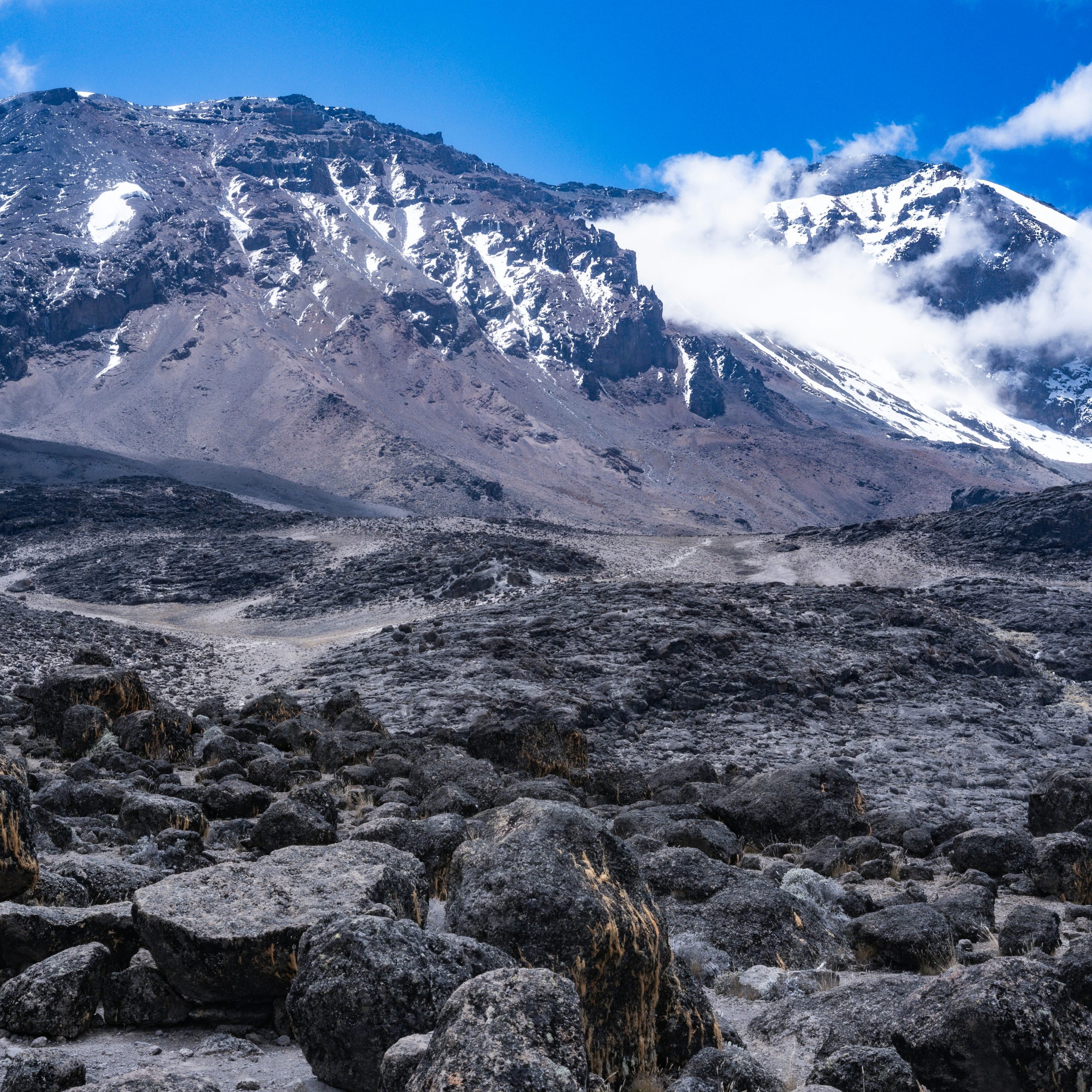 Trek Mt Kenya Tours