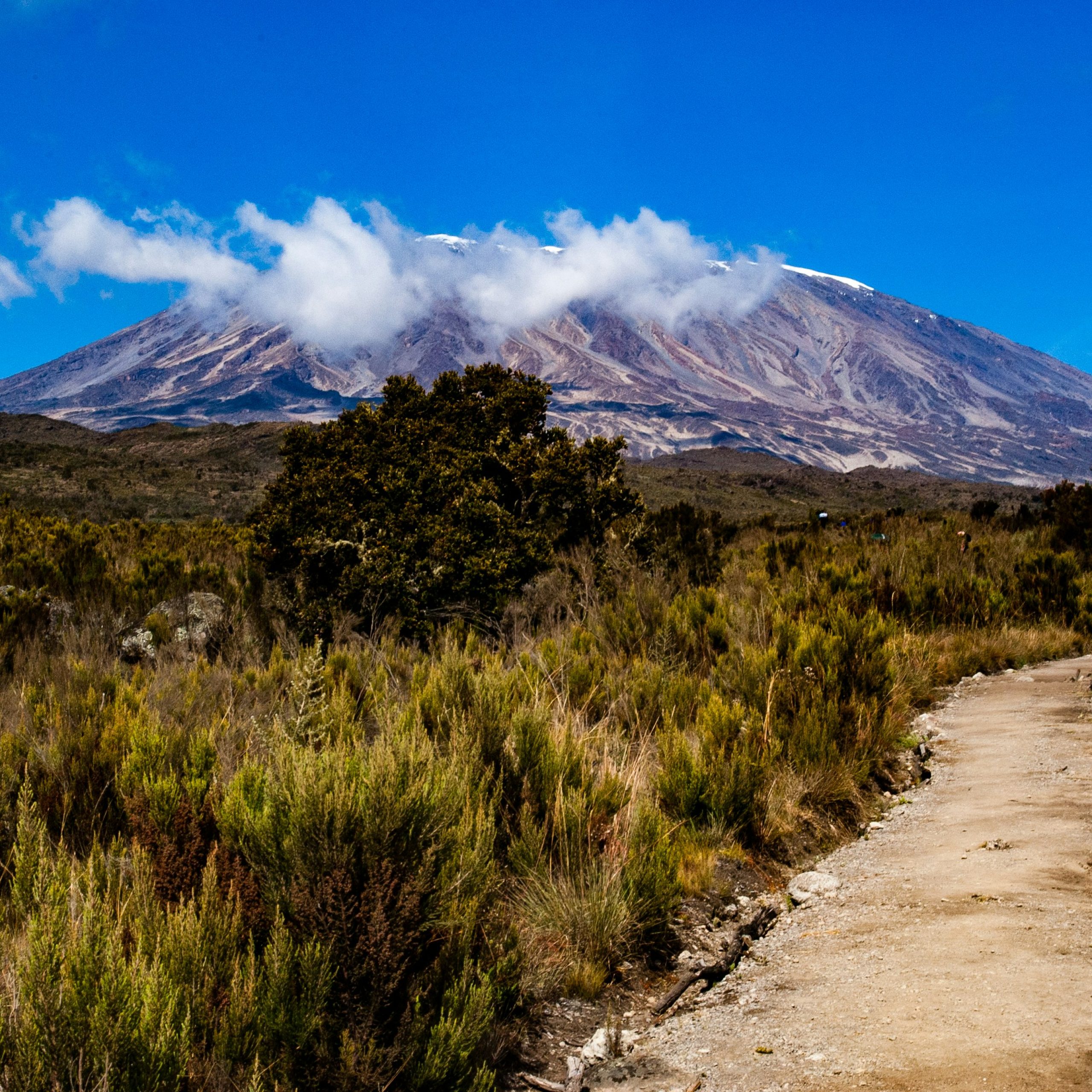 Mt. Kilimanjaro