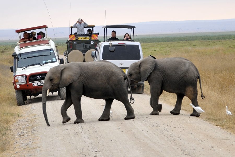 3 Days Amboseli National Park Safari